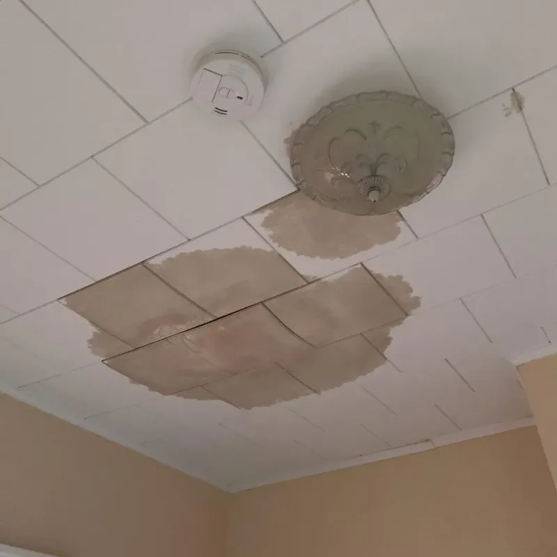 Ceiling Water Damage Repair in Marietta, OH