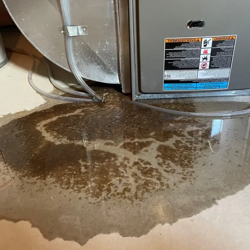 Pipe Burst and Leak Restoration in Marietta, OH