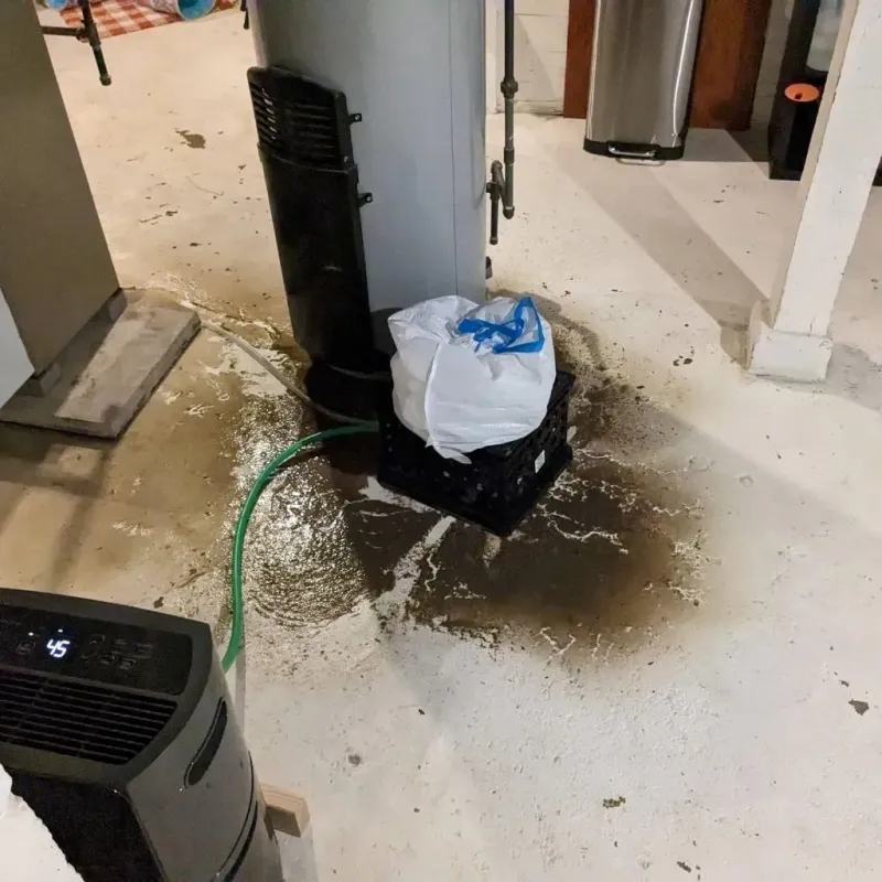 Sewage Backup Cleanup Service in Marietta, OH